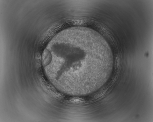 X0000115320557200911301601