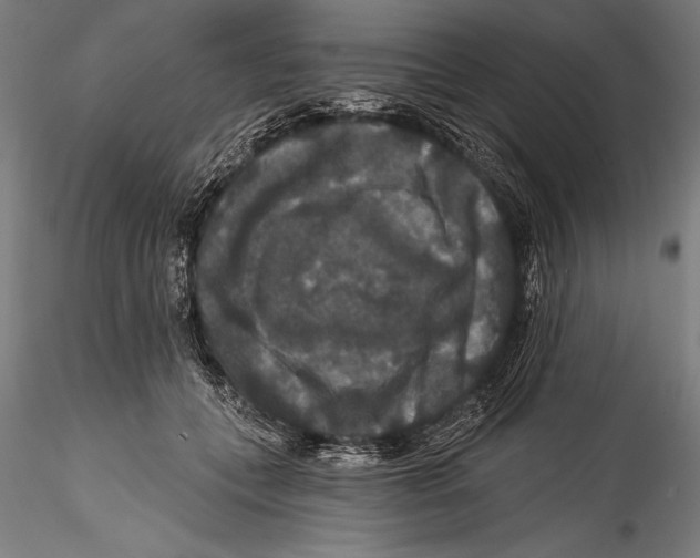 X0000115320559200911301601