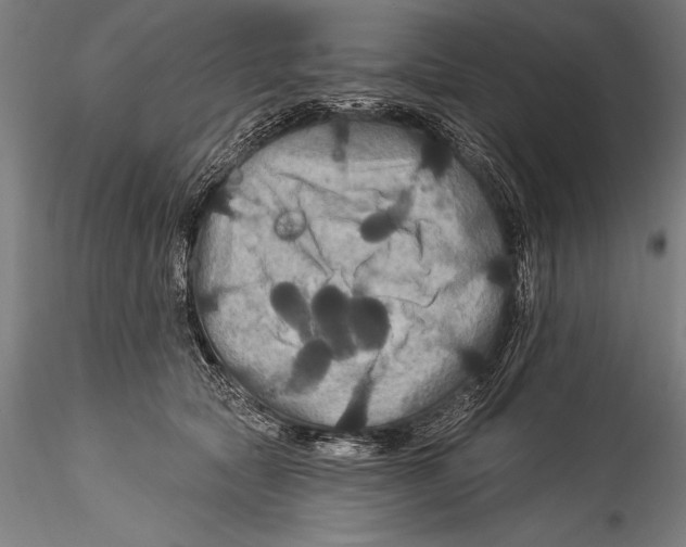 X0000115320561200911301601