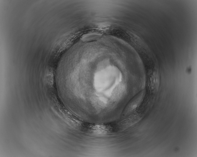 X0000115320562200911301601