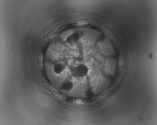 X0000115320565200911301601