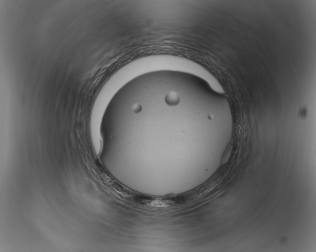 X0000115320566200911301601