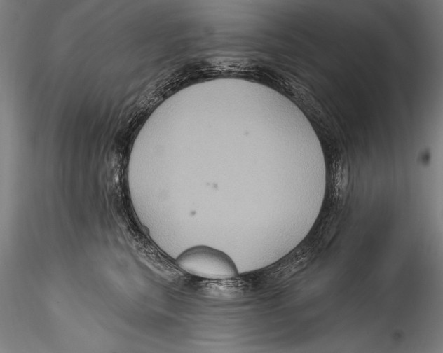 X0000115320567200911301601