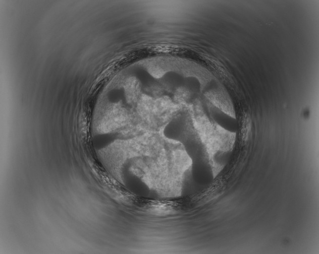 X0000115320569200911301601