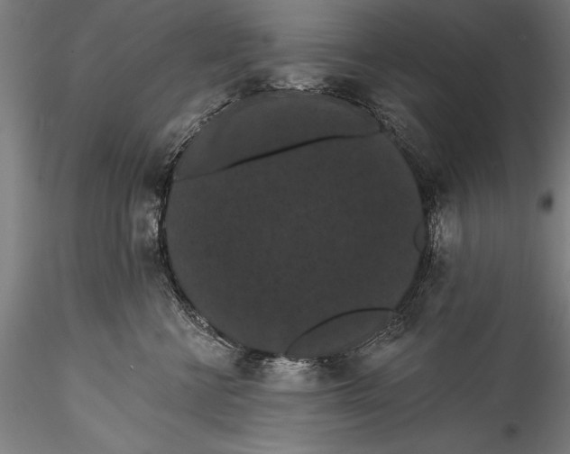 X0000115320570200911301601