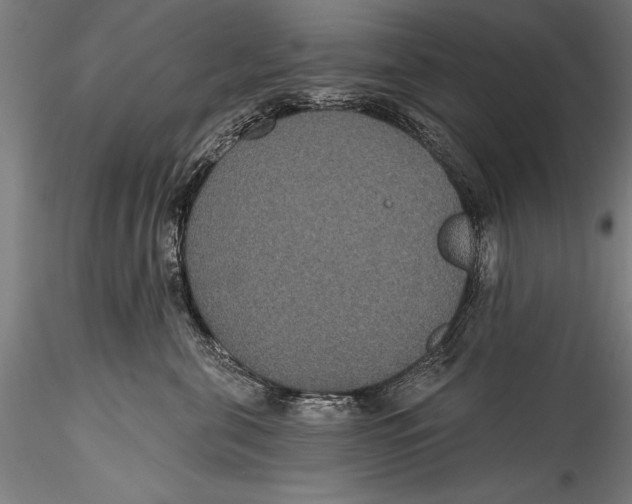 X0000115320571200911301601