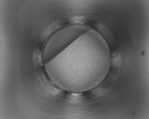 X0000115320573200911301601