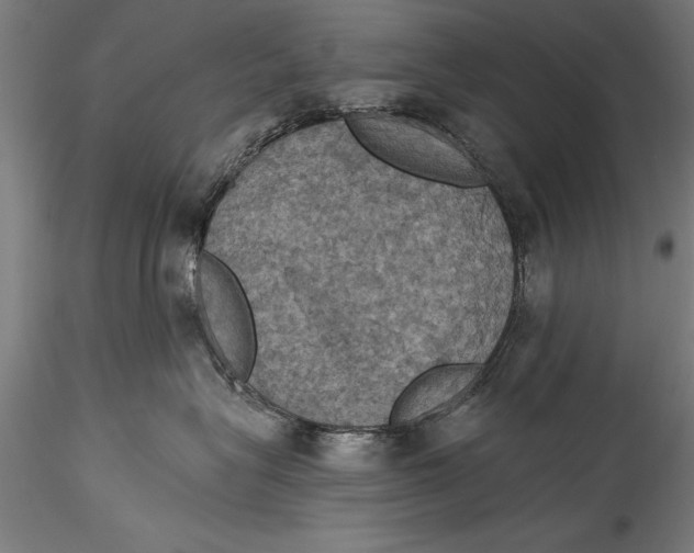 X0000115320575200911301601