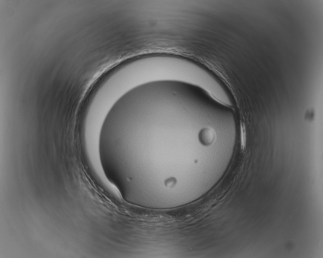 X0000115320579200911301600