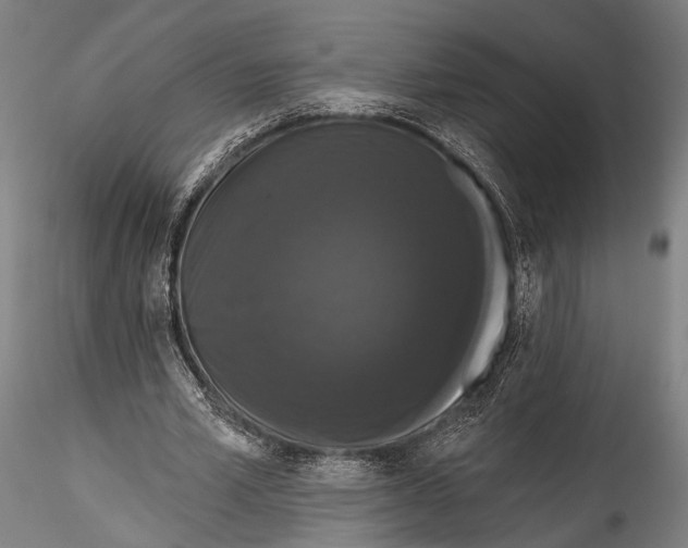 X0000115320581200911301600