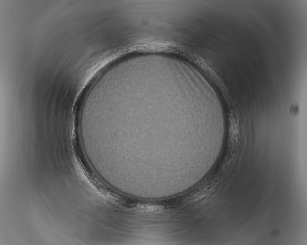 X0000115320582200911301600