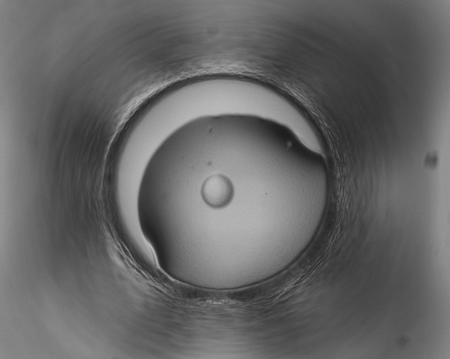 X0000115320583200911301600