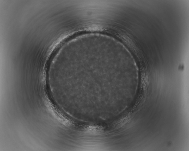 X0000115320584200911301600