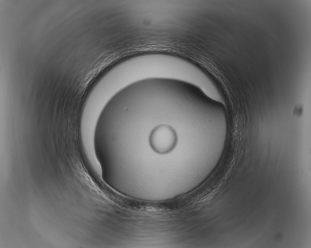 X0000115320585200911301600