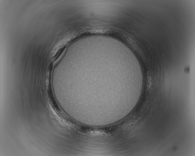 X0000115320586200911301600