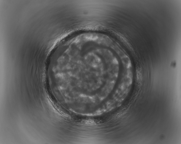 X0000115320588200911301600