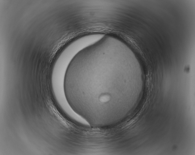 X0000115320589200911301600