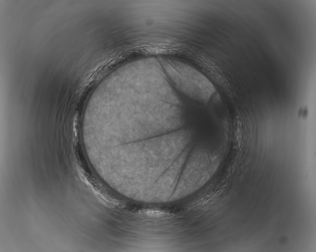 X0000115320590200911301600