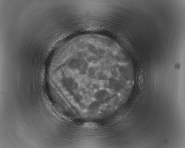 X0000115320591200911301600