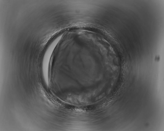 X0000115320592200911301600