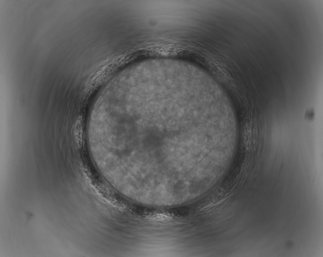 X0000115320594200911301600