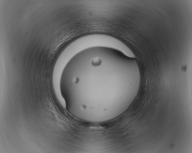 X0000115320595200911301600