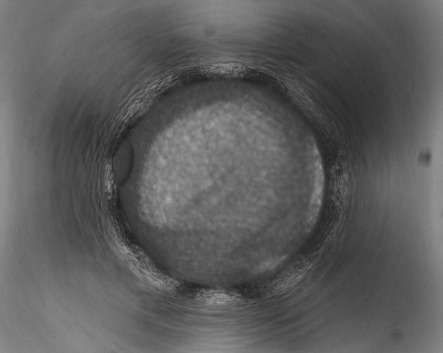 X0000115320597200911301600