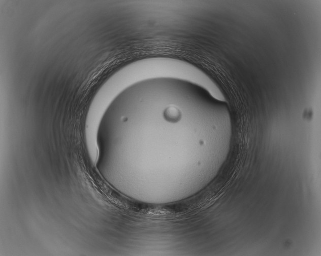 X0000115320599200911301600