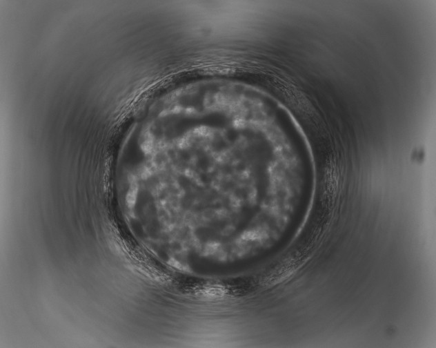 X0000115320600200911301600