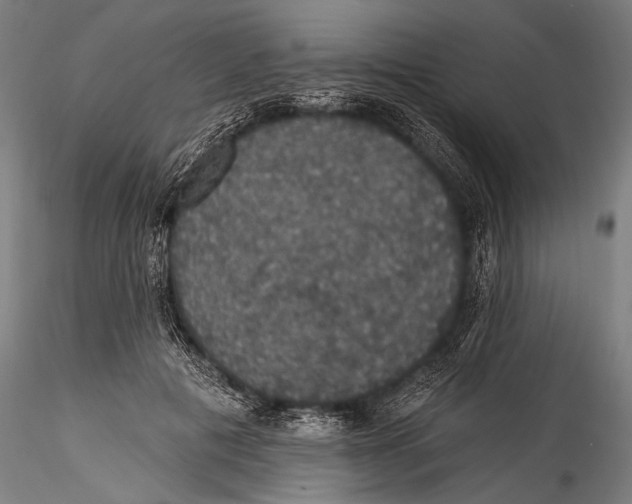 X0000115320601200911301600