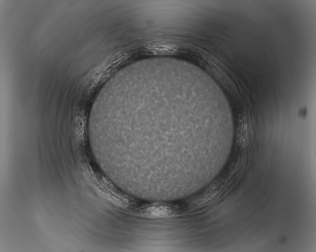 X0000115320604200911301600