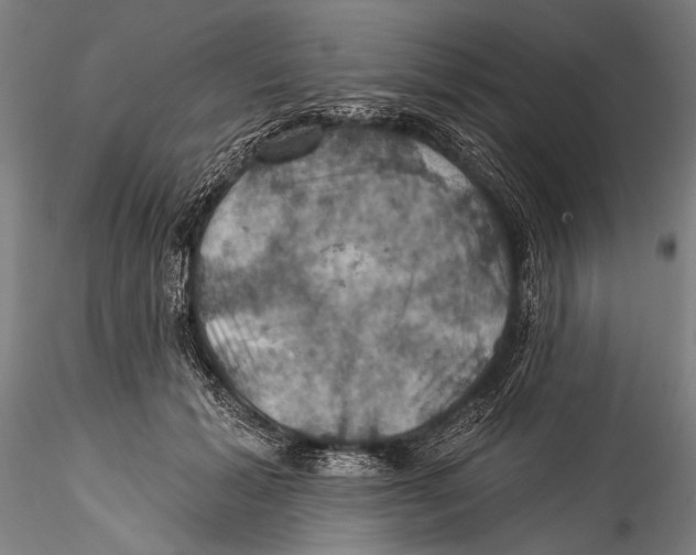 X0000115320605200911301600