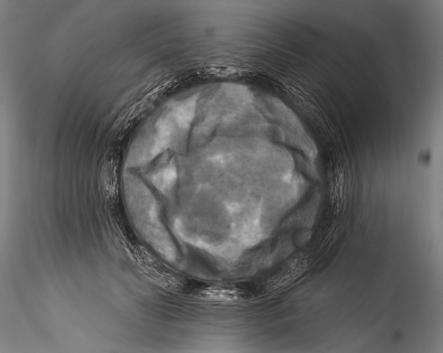 X0000115320606200911301600