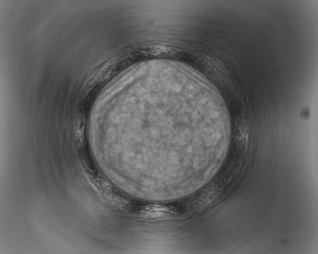 X0000115320607200911301600