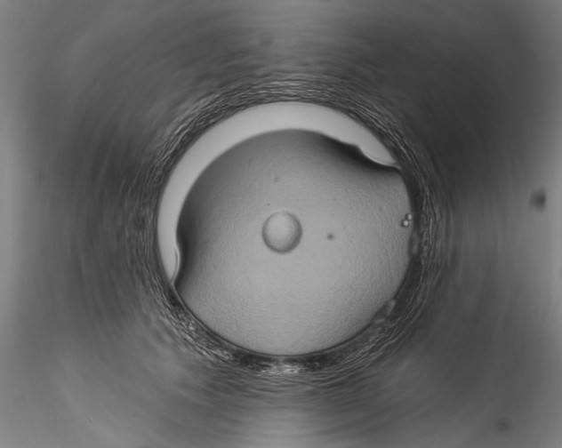 X0000115320609200911301600