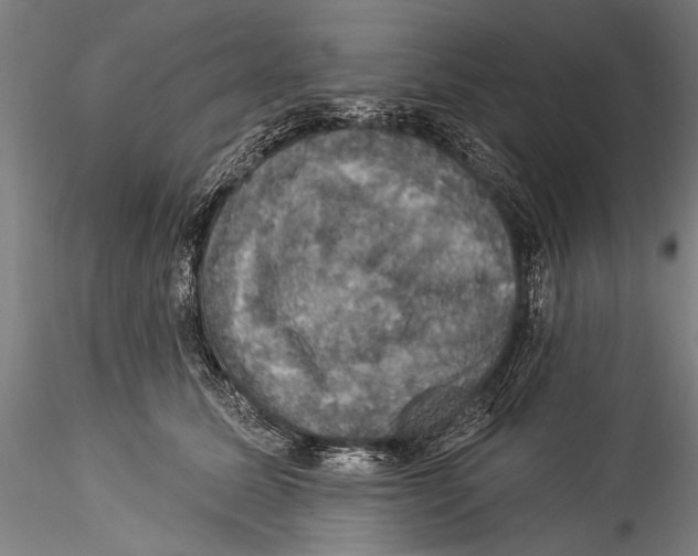 X0000115320611200911301600