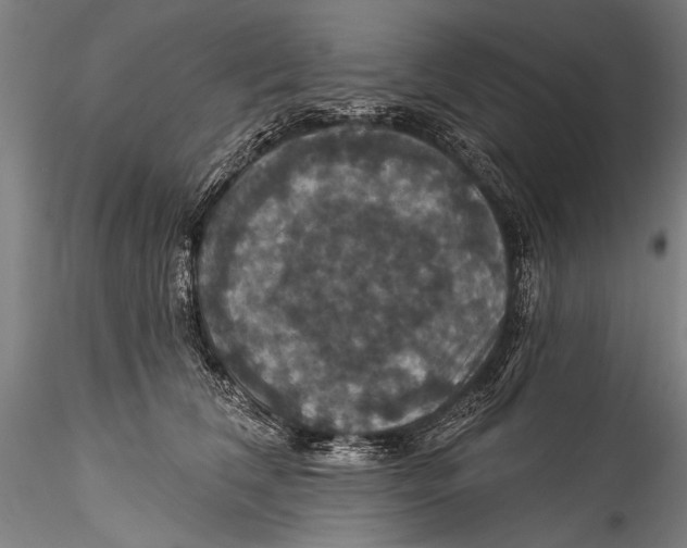 X0000115320612200911301600