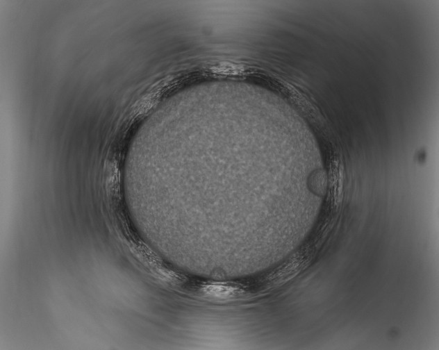 X0000115320614200911301600