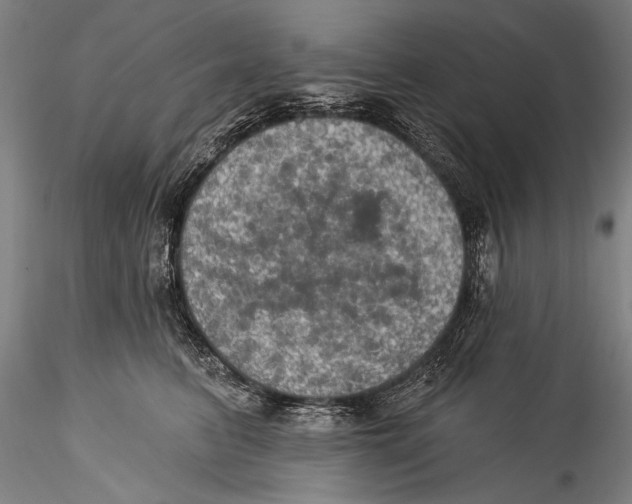 X0000115320615200911301600