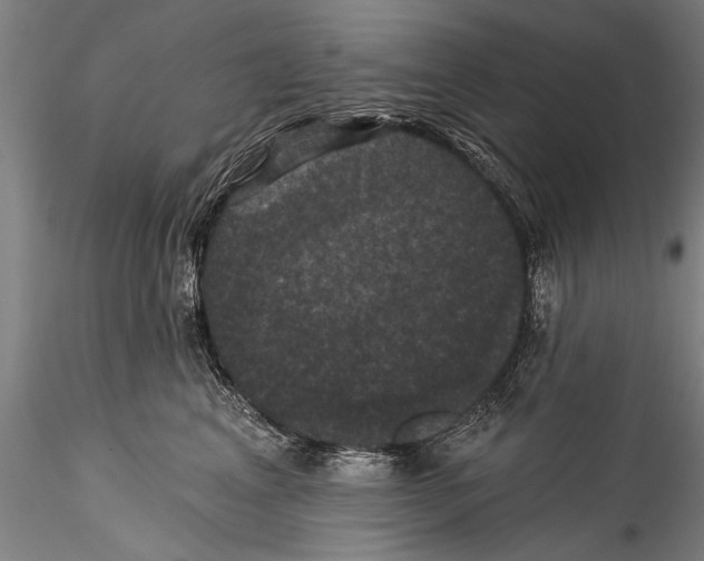 X0000115320617200911301600