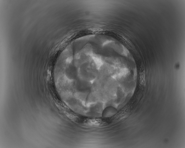 X0000115320618200911301600