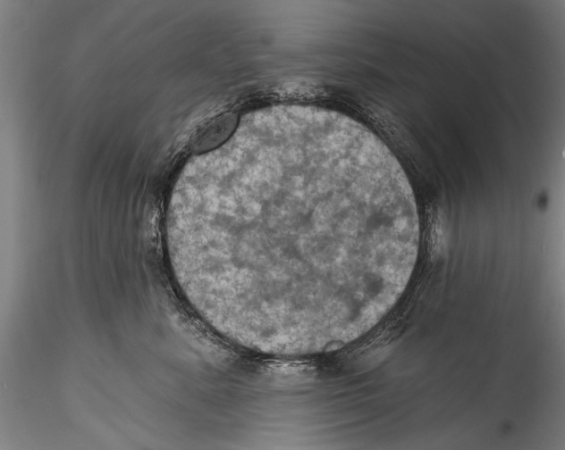 X0000115320619200911301600