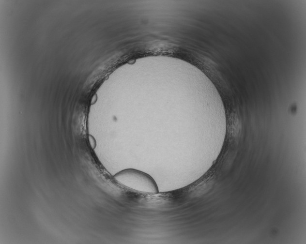 X0000115320622200911301600