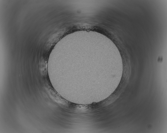 X0000115320624200911301600