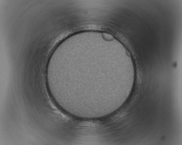 X0000115320625200911301559