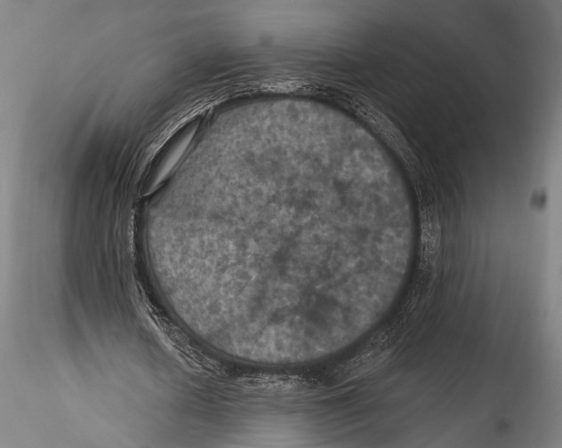 X0000115320626200911301559