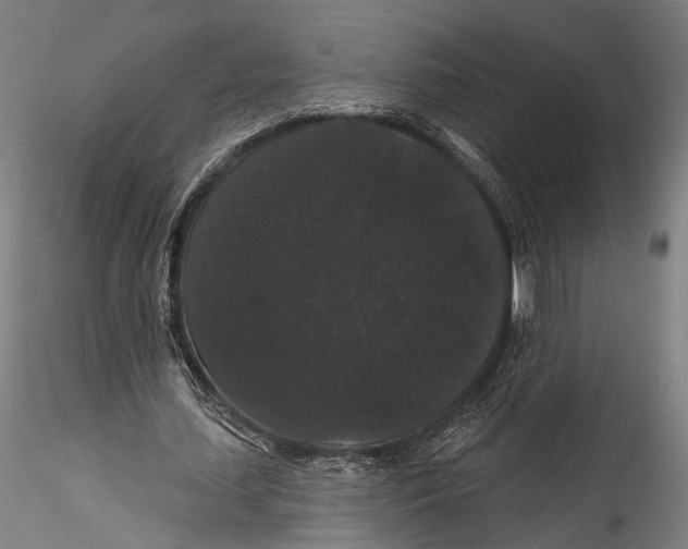 X0000115320627200911301559