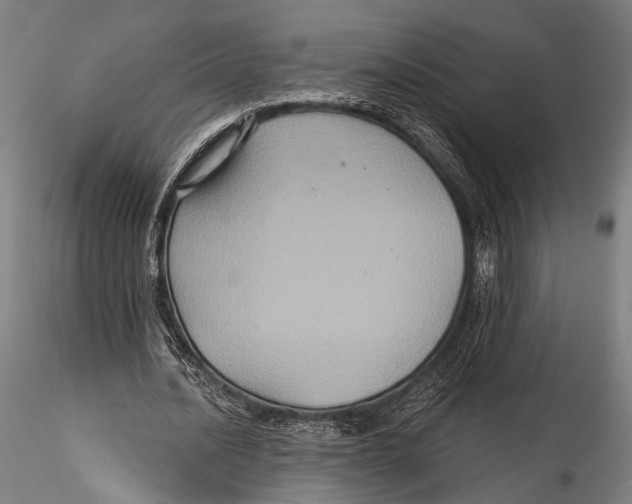 X0000115320628200911301559