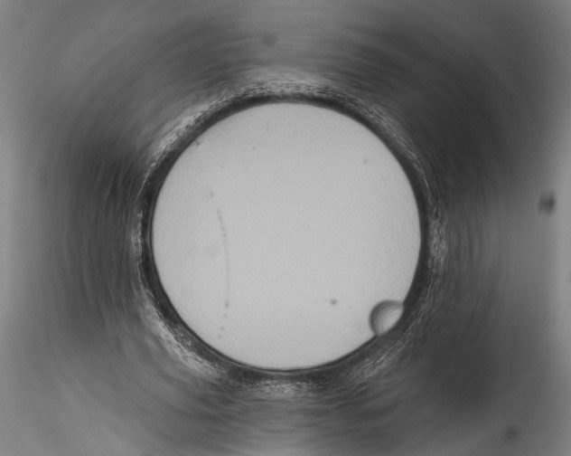 X0000115320629200911301559