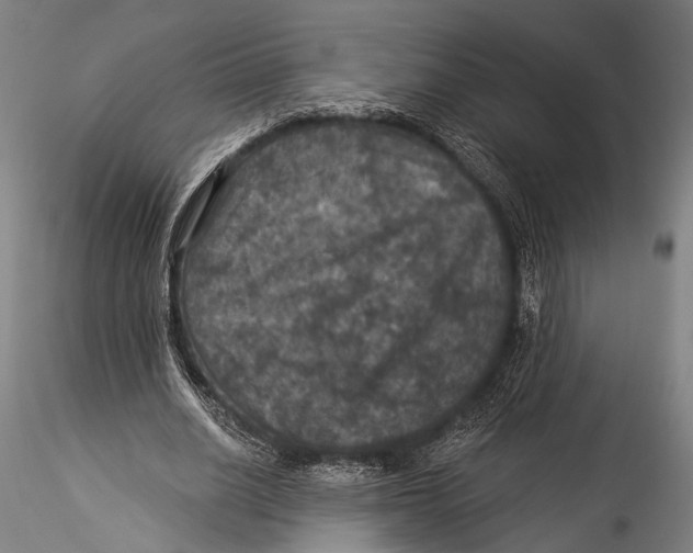 X0000115320630200911301559